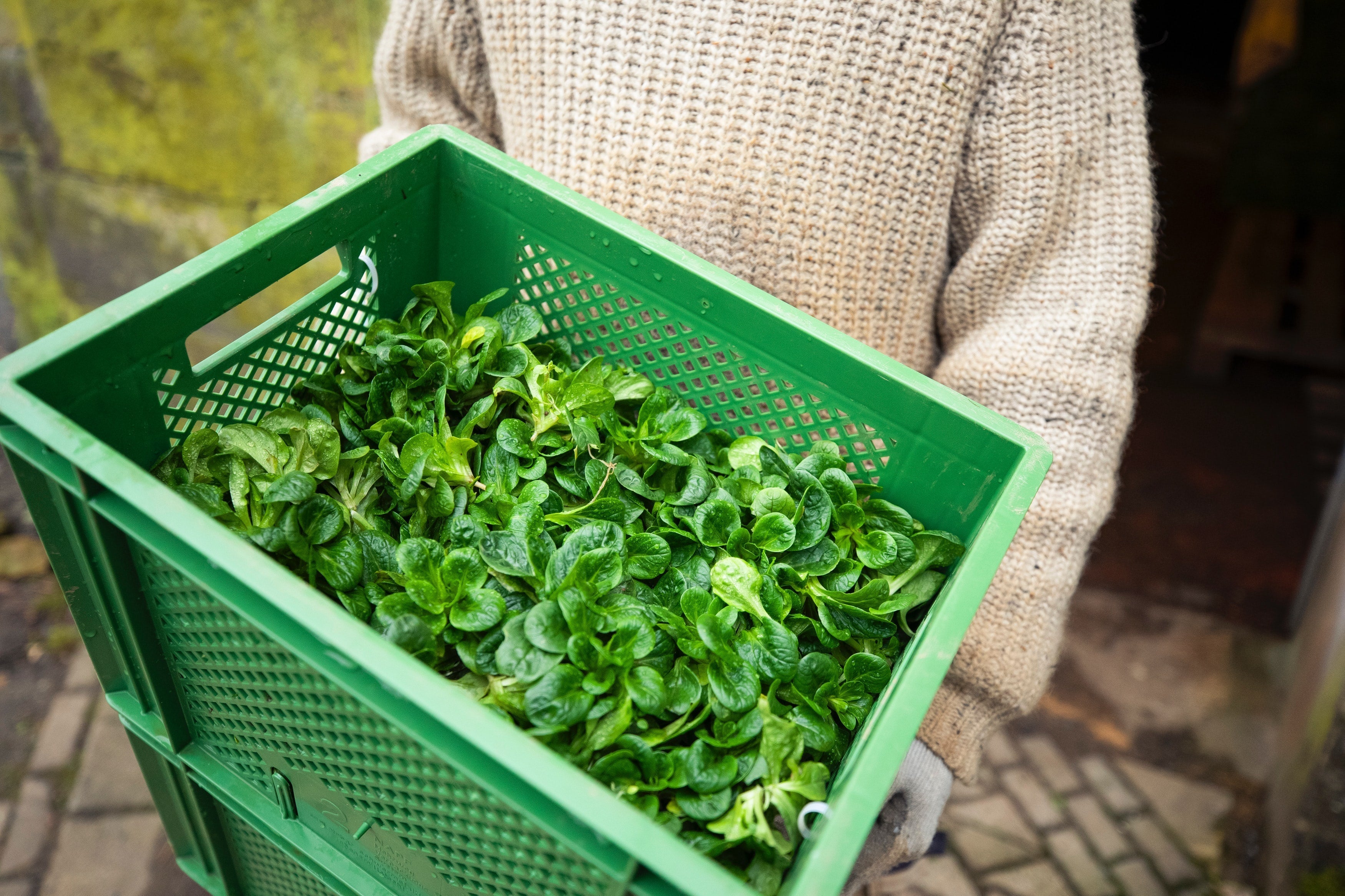 12 little wins that can help restaurants be more sustainable