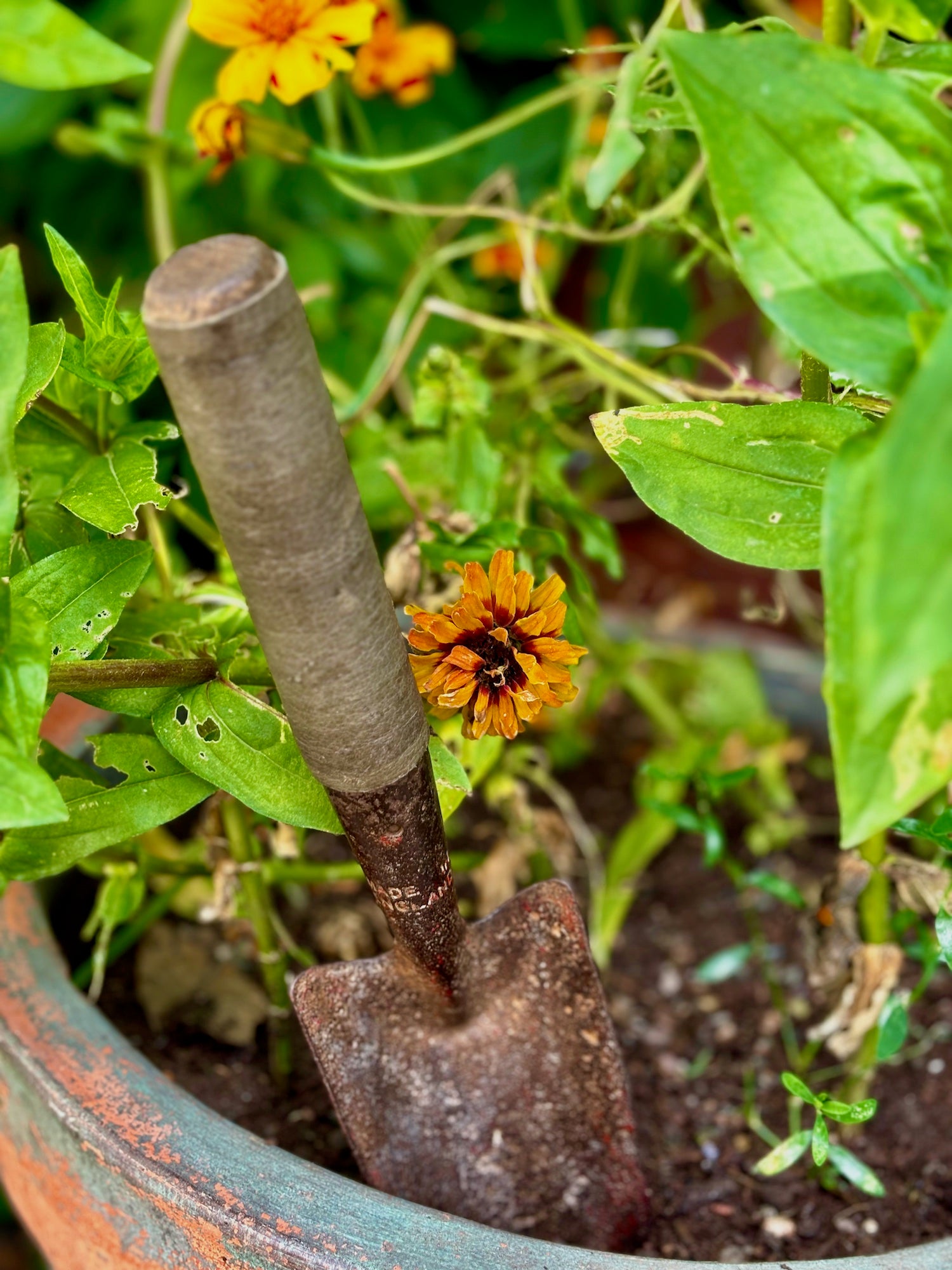 The Garden Trowel - Wrapped