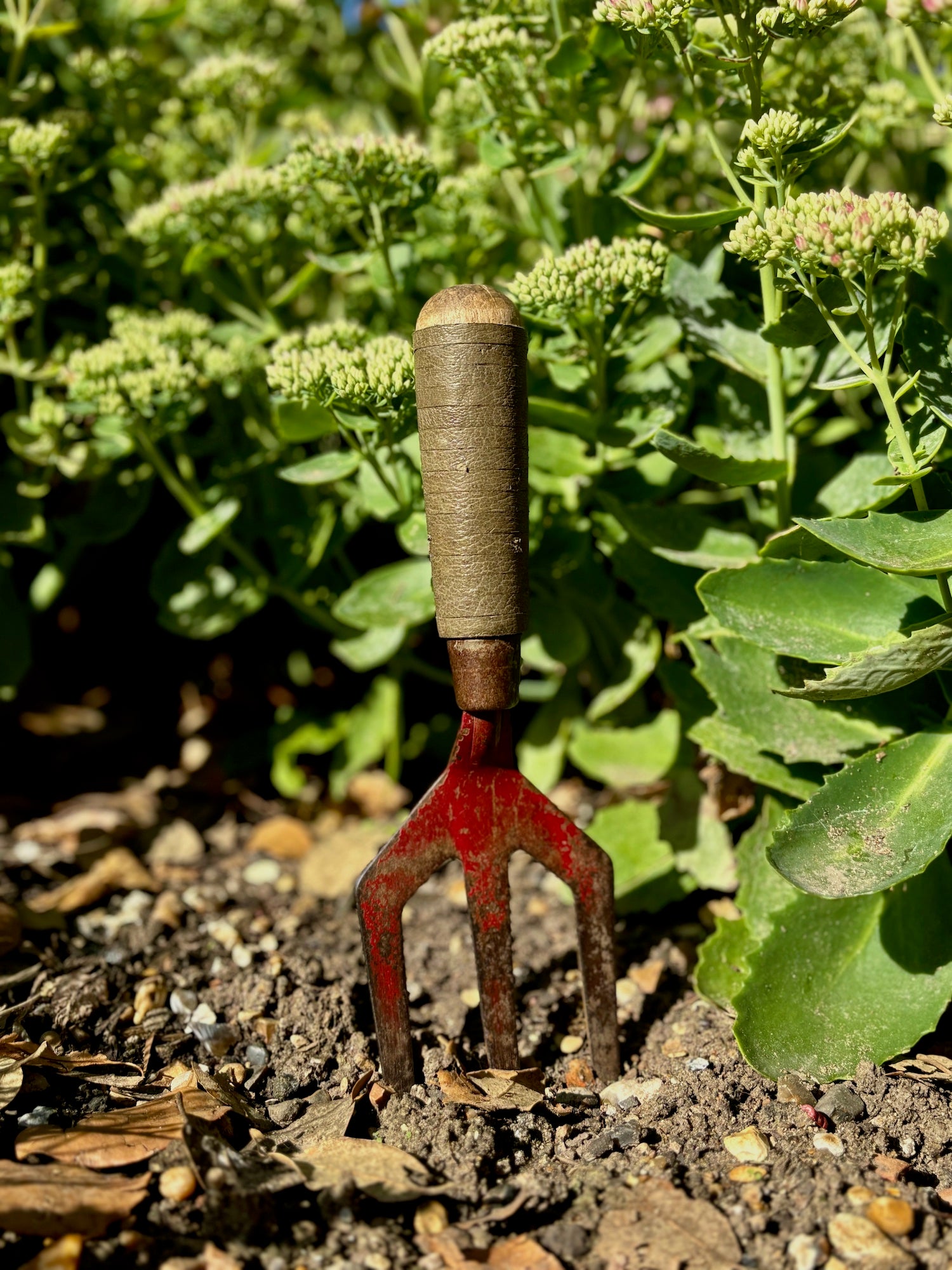 The Red Garden Fork - Wrapped