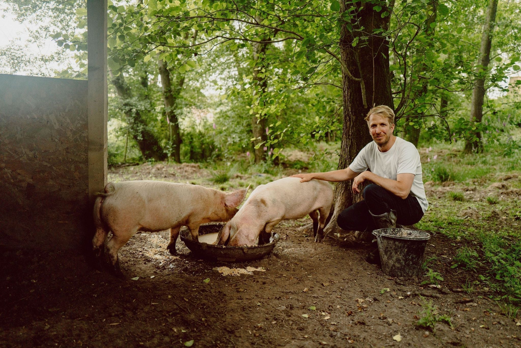 Q&A with Glebe House