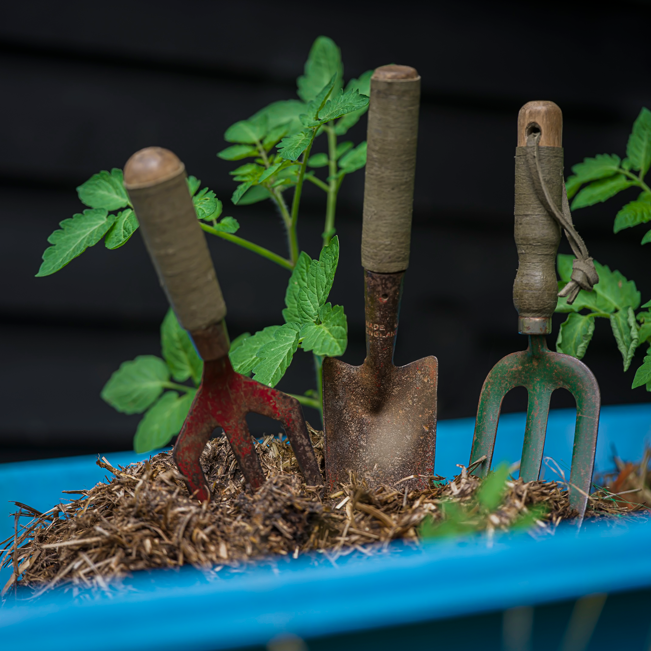 The Red Garden Fork - Wrapped